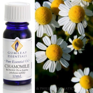 Chamomile German Blue 3% in Jojoba essential oil 10ml