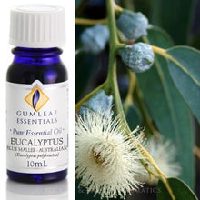 Load image into Gallery viewer, Eucalyptus (Blue Mallee) Essential oil 10ml