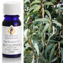 Load image into Gallery viewer, Eucalyptus ( Lemon Gum) essential oil 10ml