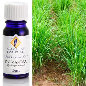 Palmarosa Essential oil 10ml