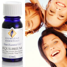 Load image into Gallery viewer, Equilibrium Essential Oil Blend