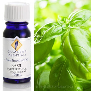 Basil Essential Oil 10 ml