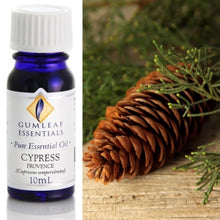 Load image into Gallery viewer, Cypress essential oil 10ml
