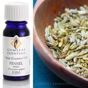 Fennel essential oil 10ml