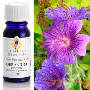 Geranium (Egyptian) essential oil 10ml