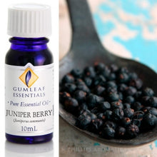 Load image into Gallery viewer, Juniper Berry essential oil 10ml