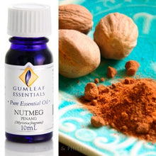 Load image into Gallery viewer, Nutmeg essential oil 10ml