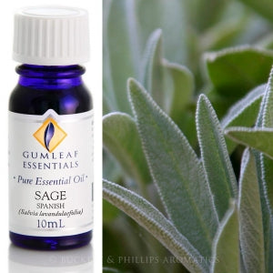 Sage - Spanish Essential Oil