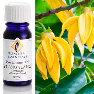 Ylang Ylang Essential Oil