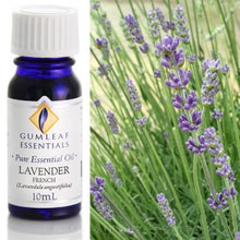 Load image into Gallery viewer, Lavender (French) essentil oil 10ml
