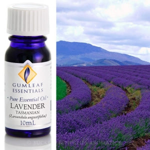 Lavender (Tasmanian) Essential oil 10ml