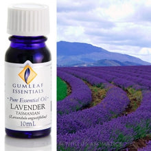 Load image into Gallery viewer, Lavender (Tasmanian) Essential oil 10ml