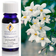 Load image into Gallery viewer, Jasmine 3% in Jojoba essential oil 10ml