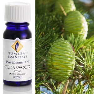 Cedarwood (Atlas) essential oil 10ml