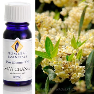 May Chang essential oil 10ml