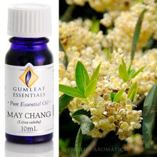 Load image into Gallery viewer, May Chang essential oil 10ml