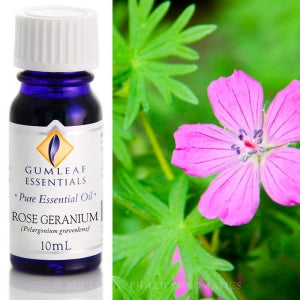 Rose Geranium Essential oil 10ml