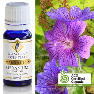 Geranium - Egyptian Organic