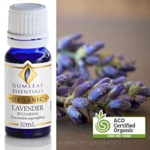 Lavender - Bulgarian Organic