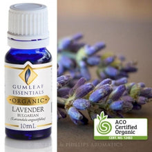 Load image into Gallery viewer, Lavender - Bulgarian Organic