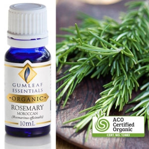 Rosemary - Moroccan Organic