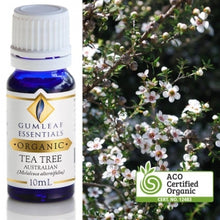 Load image into Gallery viewer, Tea Tree Organic