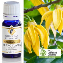 Load image into Gallery viewer, Ylang Ylang Organic Essential Oil