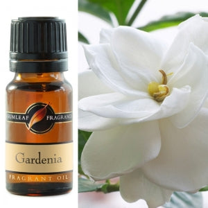 Gardenia Fragrance Oil | Fragrance Oil | Buckly & Phillip's | Australian Made | Ideal for use in oil burners, pot pourri & home fragrancing | Crystal Heart Australian Crystal Superstore since 1986 |