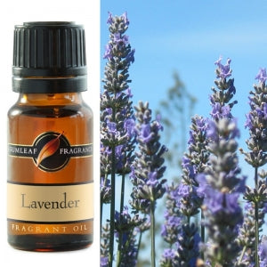 Lavender Fragrance Oil | Fragrance Oil | Buckly & Phillip's | Australian Made | Ideal for use in oil burners, pot pourri & home fragrancing | Crystal Heart Australian Crystal Superstore since 1986 |