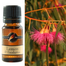 Load image into Gallery viewer, Lemon &amp; Eucalyuptus Fragrance Oil | Fragrance Oil | Buckly &amp; Phillip&#39;s | Australian Made | Ideal for use in oil burners, pot pourri &amp; home fragrancing | Crystal Heart Australian Crystal Superstore since 1986 |
