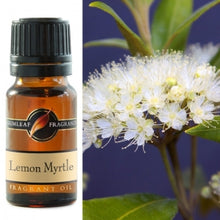 Load image into Gallery viewer, Lemon Myrtle Fragrance Oil  Fragrance Oil | Buckly &amp; Phillip&#39;s | Australian Made | Ideal for use in oil burners, pot pourri &amp; home fragrancing | Crystal Heart Australian Crystal Superstore since 1986 |