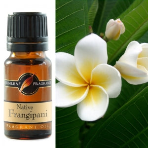 Native Frangipani Fragrance Oil | Fragrance Oil | Buckly & Phillip's | Australian Made | Ideal for use in oil burners, pot pourri & home fragrancing | Crystal Heart Australian Crystal Superstore since 1986 |