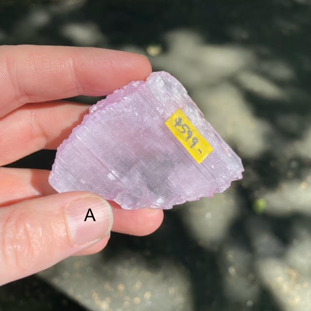 Kunzite Natural Crystal | Gem Quality | Excellent Clarity & Color | Natural terminations | Wisdom of the Heart | Taurus Scorpio Leo | Crystal heart Melbourne Australia since 1986