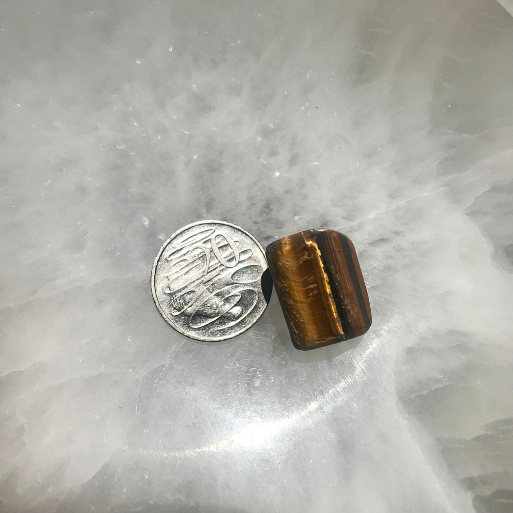 Tigers Eye Tumble