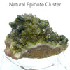 Epidote Crystal Druzy Cluster