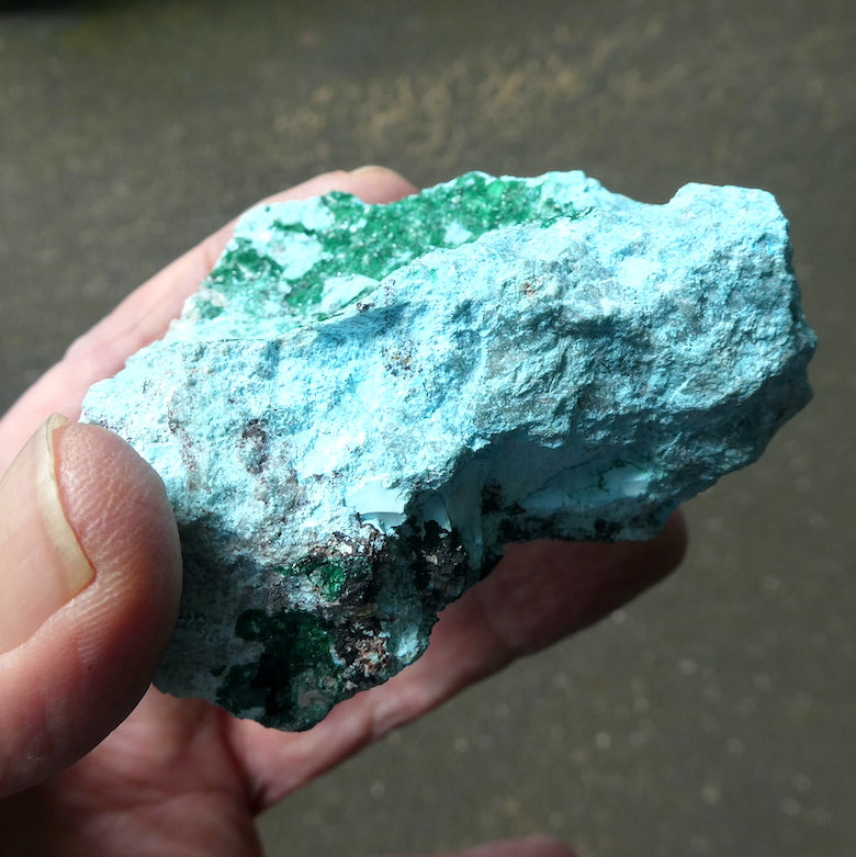 Chrysocolla  Drusy Specimen | Sparkling with crystalline Malachite | Genuine Gems from Crystal Heart Melbourne Australia since 1986