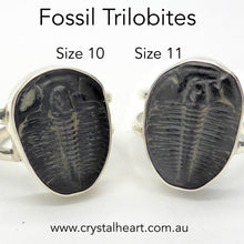 Load image into Gallery viewer, Trilobite Fossil Ring | 925 Sterling Silver  Nice details on these genuine Fossils | Large sizes US 10 or 11 | Crystal Heart Melbourne Australia since 1986