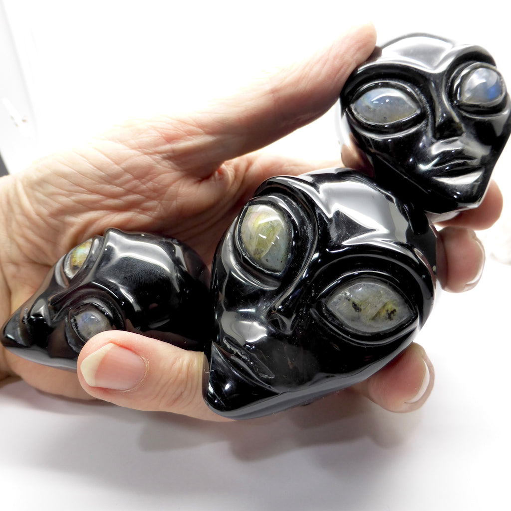 Skull Black ET Obsidian with Moonstone Eyes
