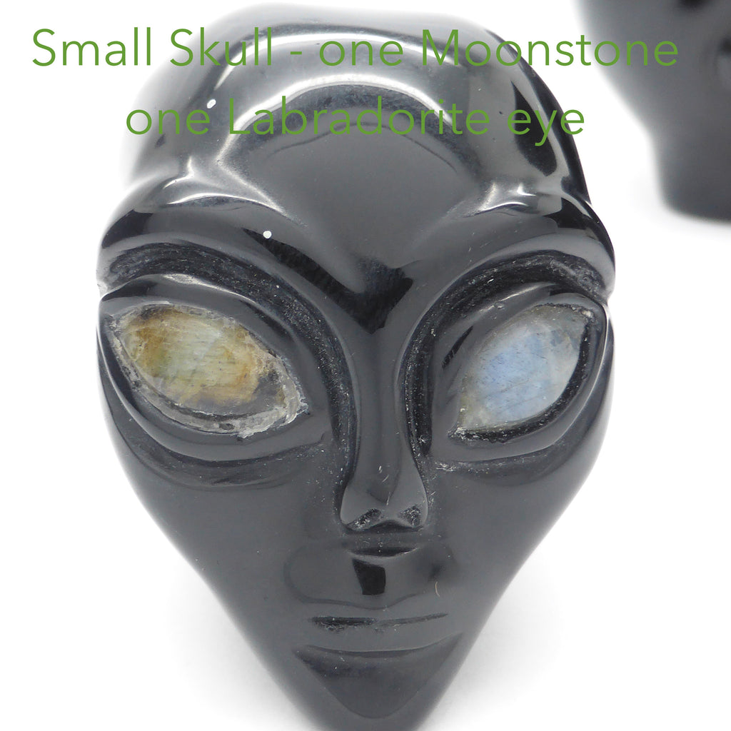 Skull Black ET Obsidian with Moonstone Eyes