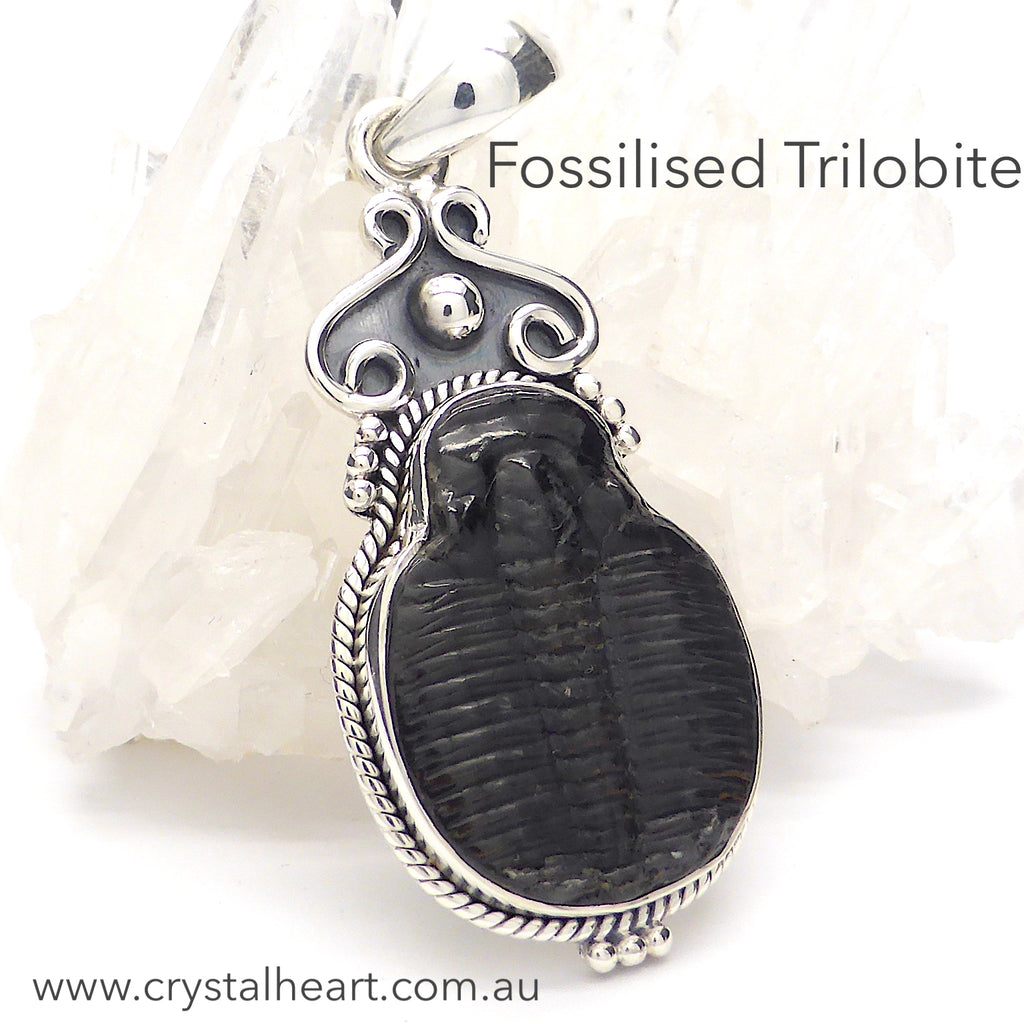 Trilobite Fossil Pendant | 925 Sterling Silver | Arthropod living 240 to 500 million years old | Crystal Heart Melbourne Australia since 1986