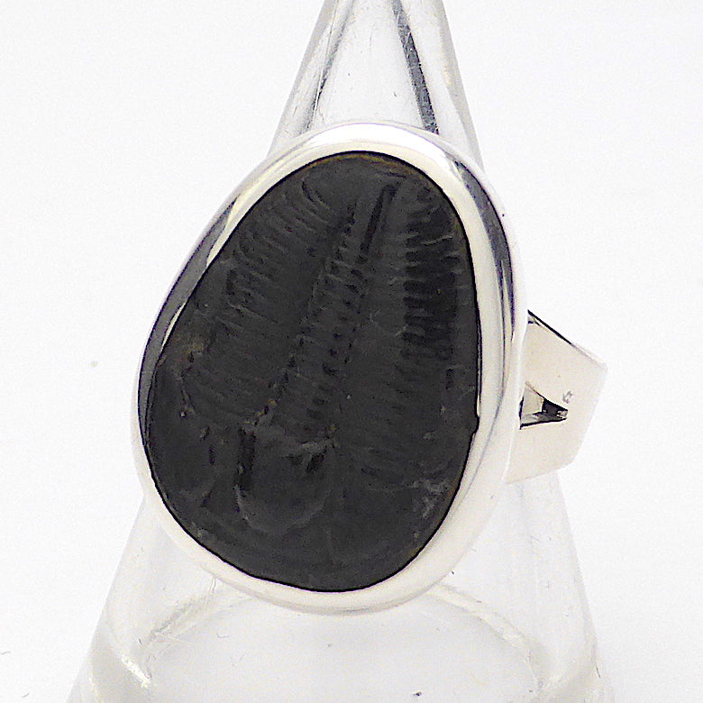 Trilobite Fossil Ring | 925 Sterling Silver | US Size 6 | Crystal Heart Melbourne Australia since 1986