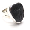 Trilobite Fossil Ring | 925 Sterling Silver | US Size 6 | Crystal Heart Melbourne Australia since 1986