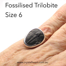 Load image into Gallery viewer, Trilobite Fossil Ring | 925 Sterling Silver | US Size 6 | Crystal Heart Melbourne Australia since 1986