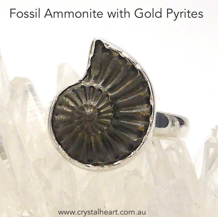Ammonite Fossil Ring, Gold Pyrites, 925 Silver, s1
