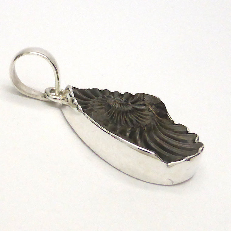 Ammonite Fossil Pendant, Gold Pyrites, 925 Silver, s2