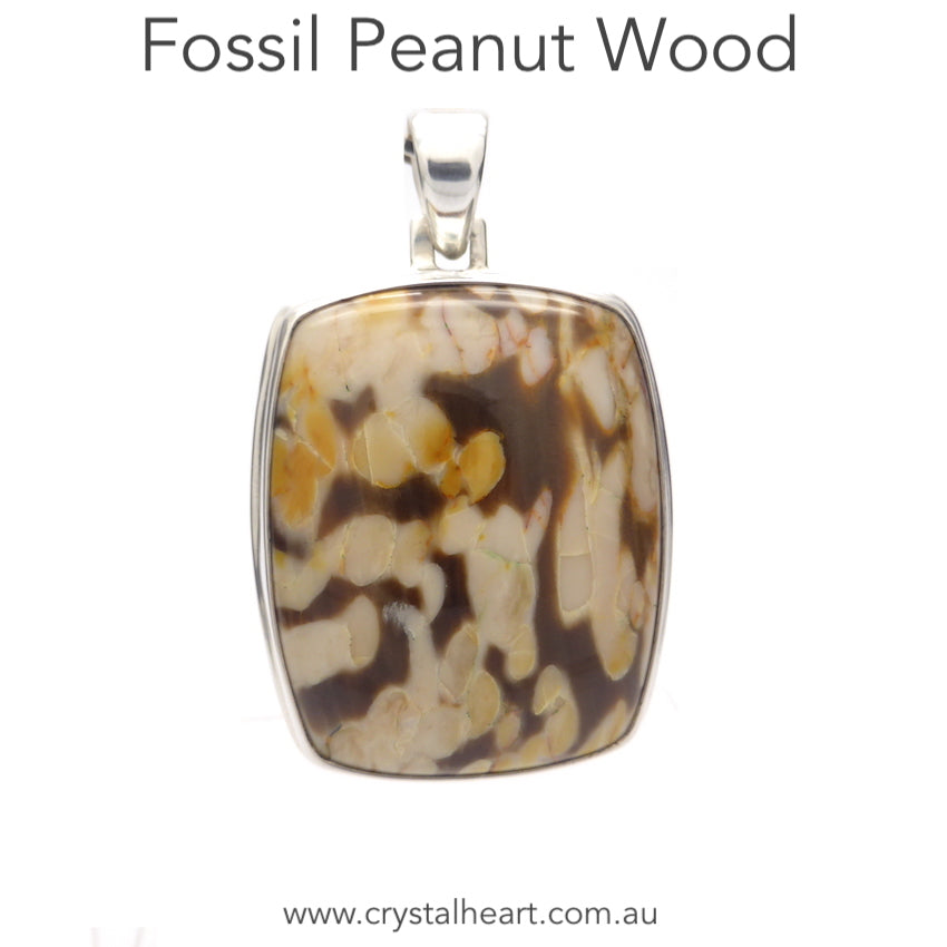 Peanut Wood Pendant | 925 Sterling Silver  | West Australia Stone | Crystal Heart Melbourne Australia since 1986