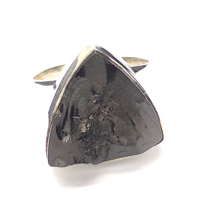 Noble Shungite Ring | 925 Sterling Silver | US Size 10 | AUS Size T 1/2 | Major Healing Stone | Fullerenes and Buckyballs | Purify Water | Channel Calm Healing Universal Energy | Protect from EMFs | Genuine Gems from Crystal Heart Melbourne Australia since 1986