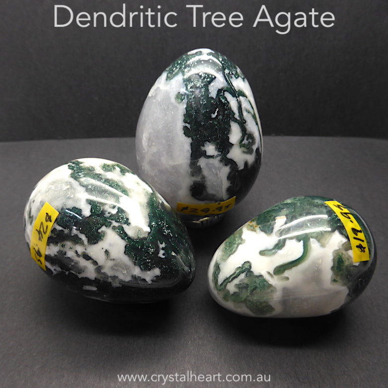Dendritic Tree Agate Gemstone Eggs | Healing | Genuine Gems from Crystal Heart Melbourne Australia since 1986