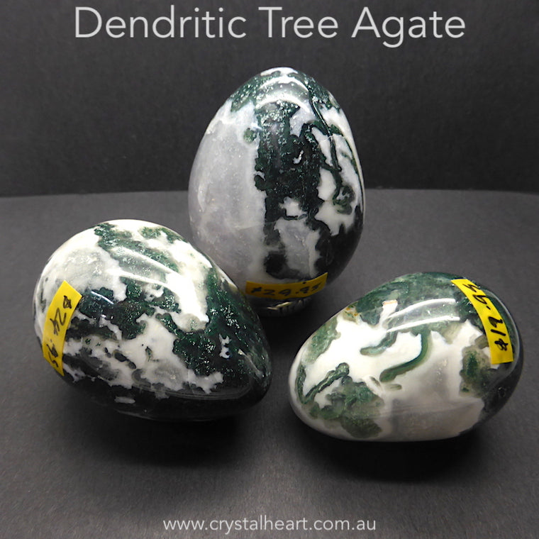 Dendritic Tree Agate Eggs