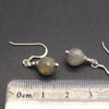 Faceted Labradorite Earrings | 8 mm beads | Sterling Silver Shepherd Hooks | Fair Trade | Genuine Gems from Crystal Heart Melbourne Australia since 1986